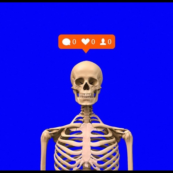 Meet your Posher, Matt - Picture 1 of 1